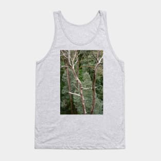 Bare tree trunks with blue, green conifer trees. Tank Top